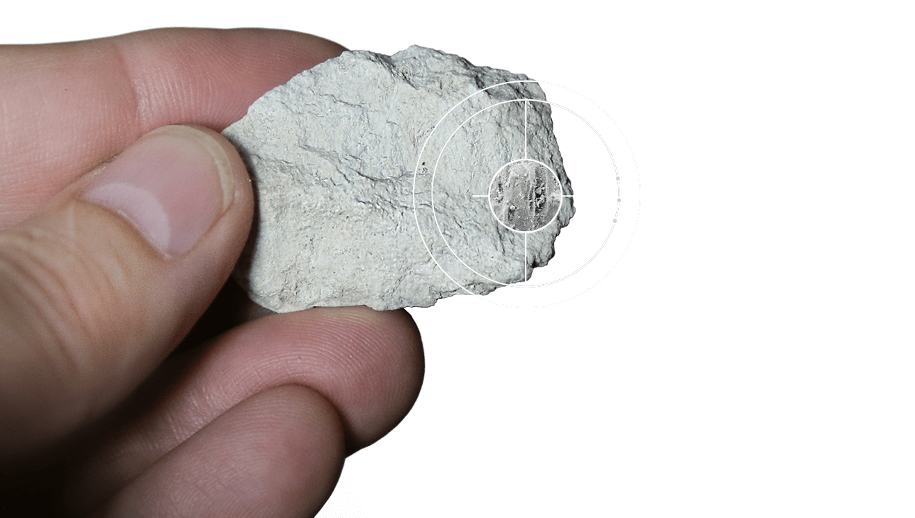 close-up of pumice stone